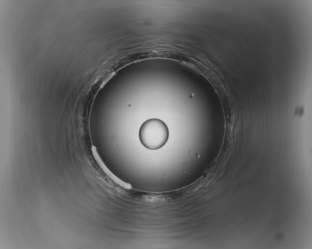 X0000115630520200911101441