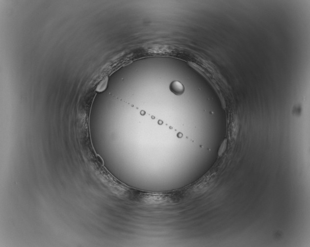 X0000115630521200911101441