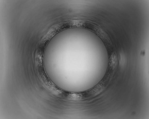 X0000115630522200911101441