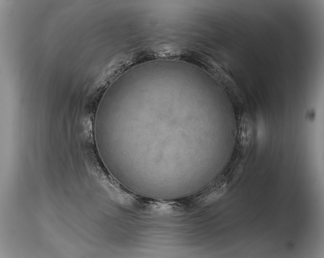 X0000115630523200911101441