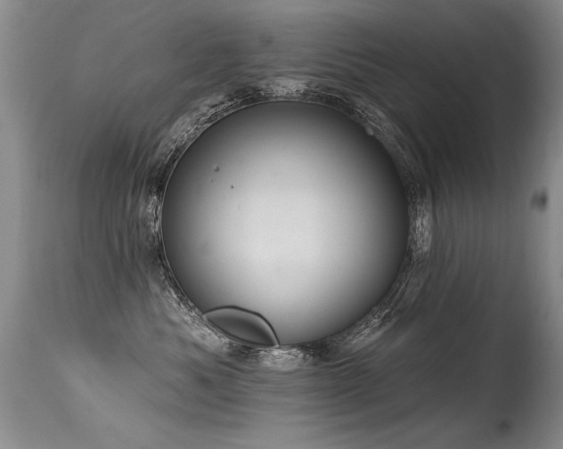X0000115630525200911101441
