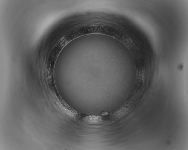 X0000115630526200911101440
