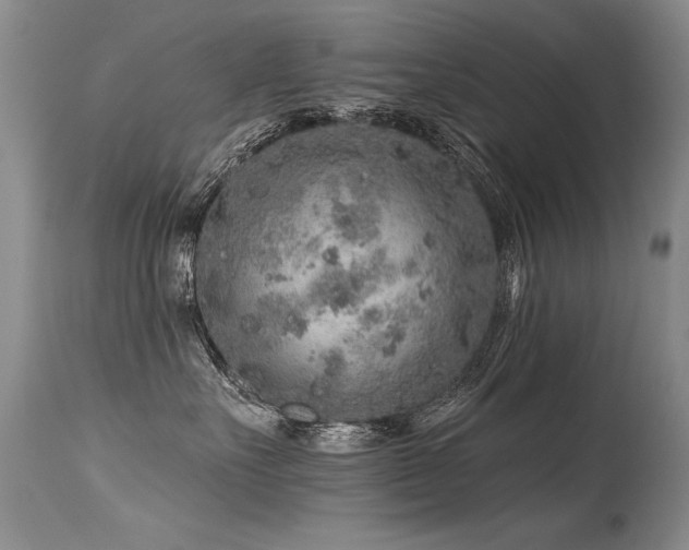 X0000115630527200911101440
