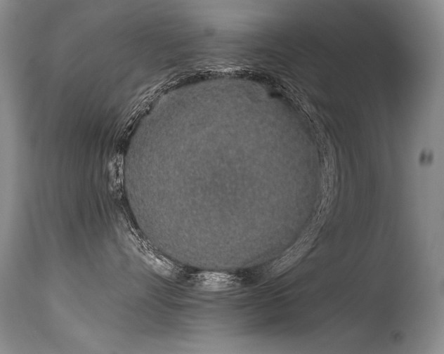 X0000115630528200911101440