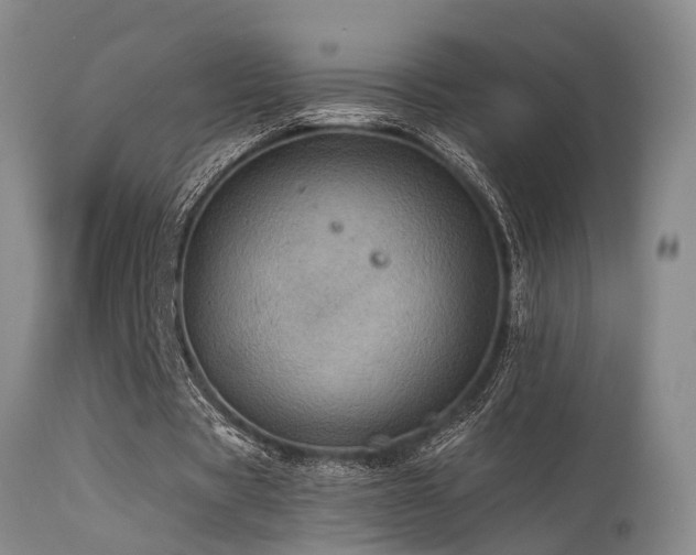 X0000115630529200911101440