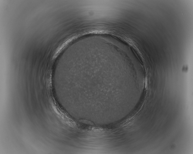 X0000115630531200911101440