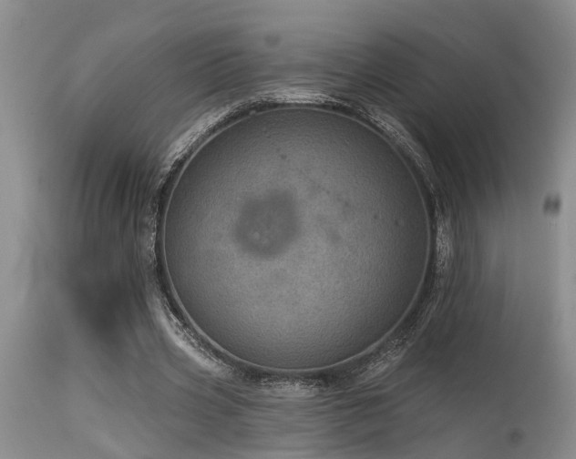 X0000115630533200911101440