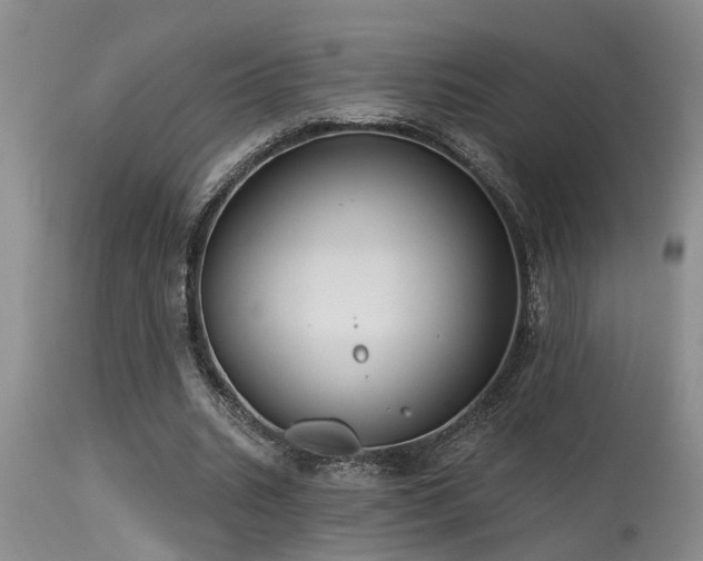 X0000115630535200911101440