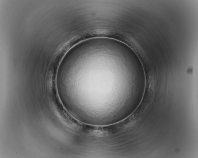 X0000115630542200911101440
