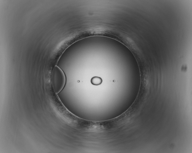 X0000115630543200911101440