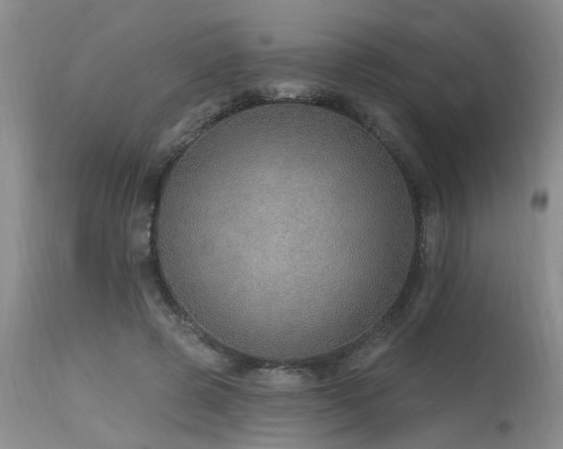 X0000115630545200911101440