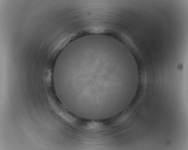X0000115630549200911101440