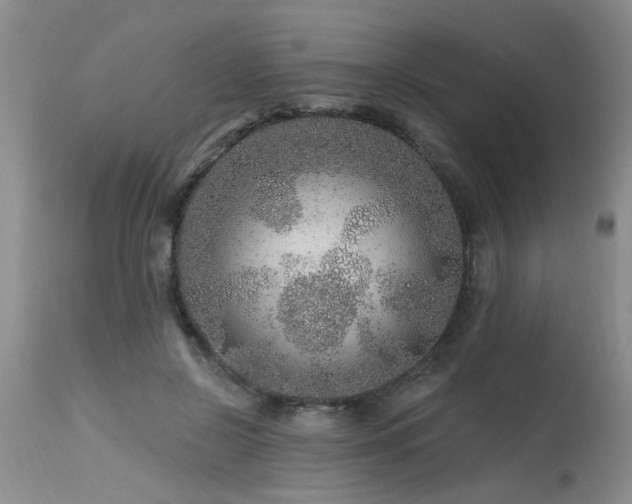 X0000115630550200911101440