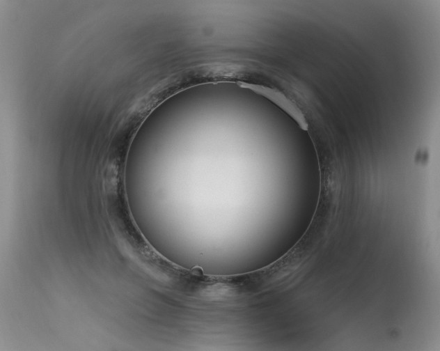 X0000115630551200911101440