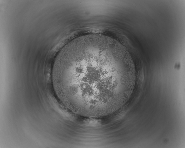 X0000115630553200911101440