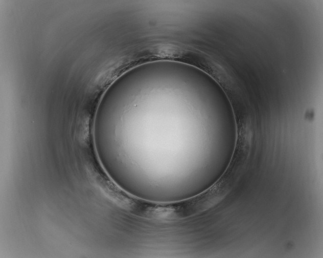 X0000115630554200911101440
