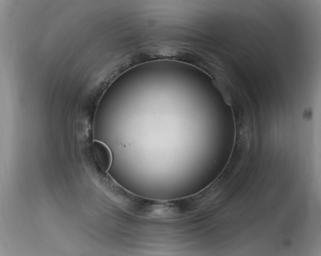 X0000115630555200911101440