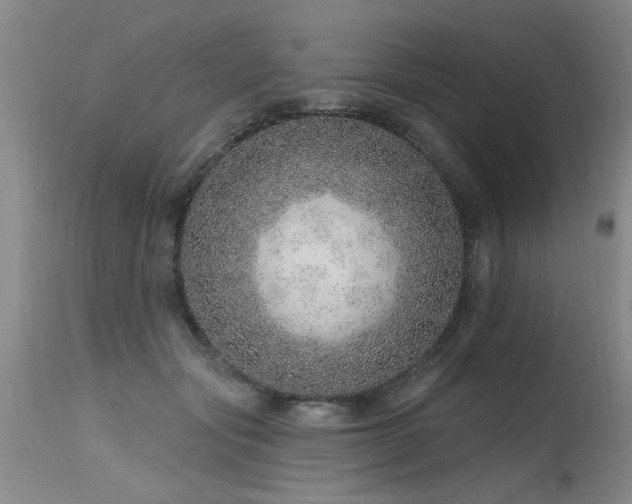 X0000115630557200911101440