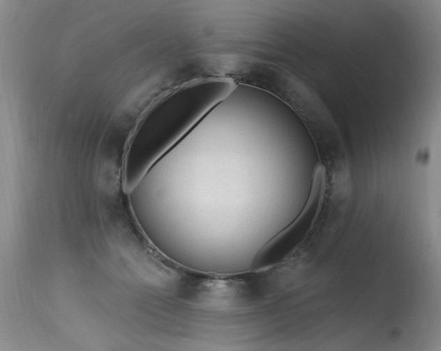 X0000115630558200911101440