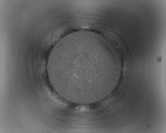 X0000115630559200911101440