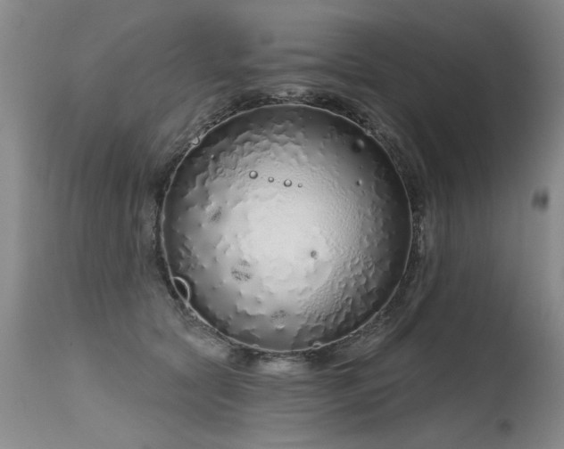 X0000115630561200911101440