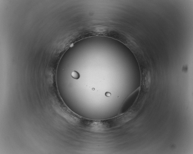 X0000115630562200911101440