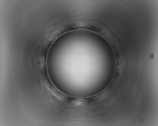 X0000115630563200911101440