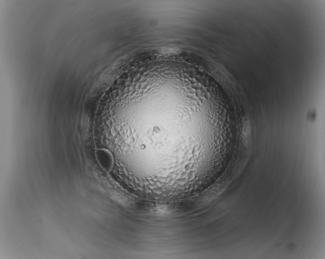 X0000115630565200911101440