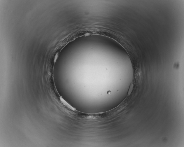 X0000115630566200911101440