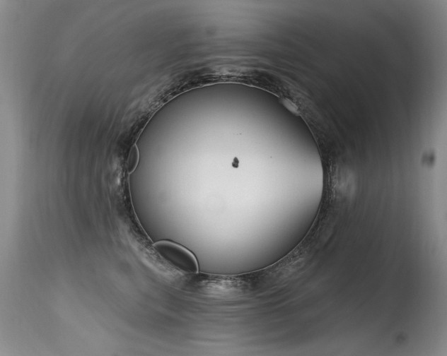 X0000115630567200911101440