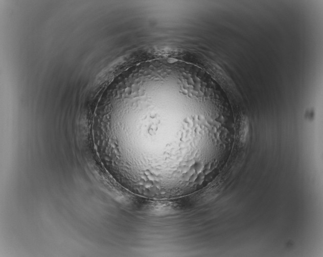 X0000115630569200911101440