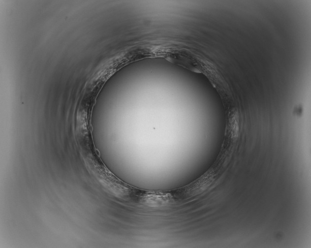 X0000115630571200911101440
