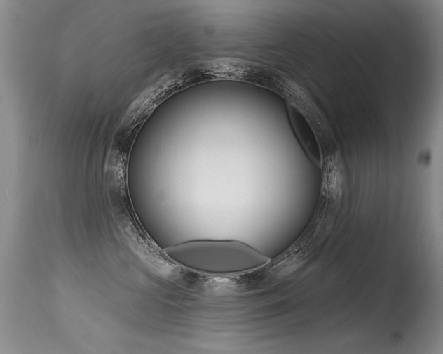 X0000115630573200911101440