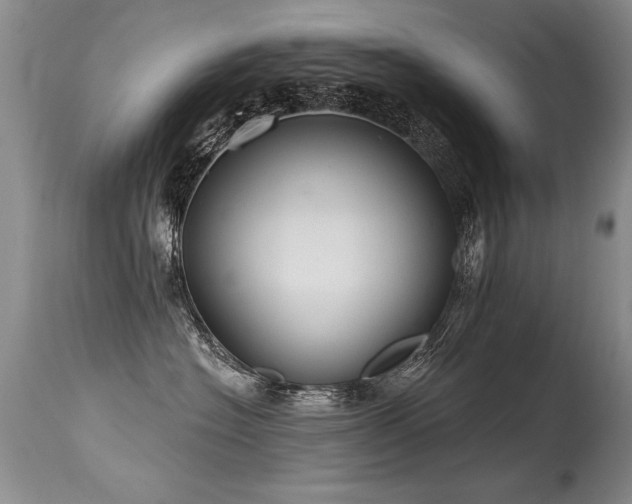 X0000115630574200911101440