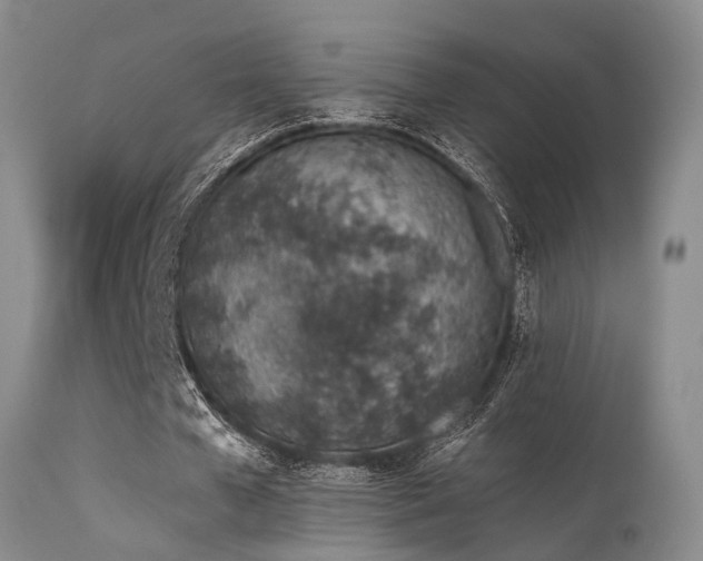 X0000115630577200911101440