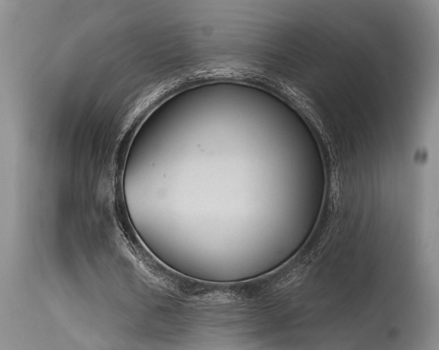 X0000115630578200911101440