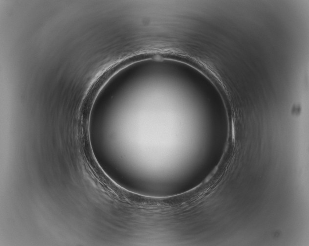 X0000115630579200911101440