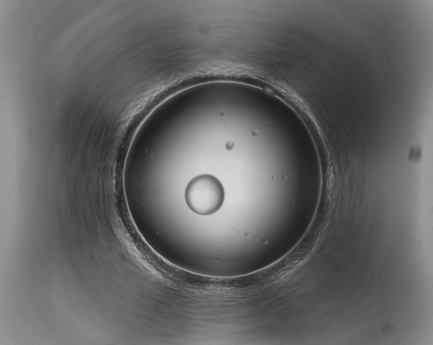 X0000115630581200911101440