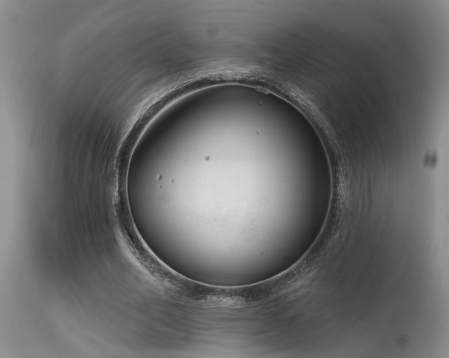 X0000115630582200911101440