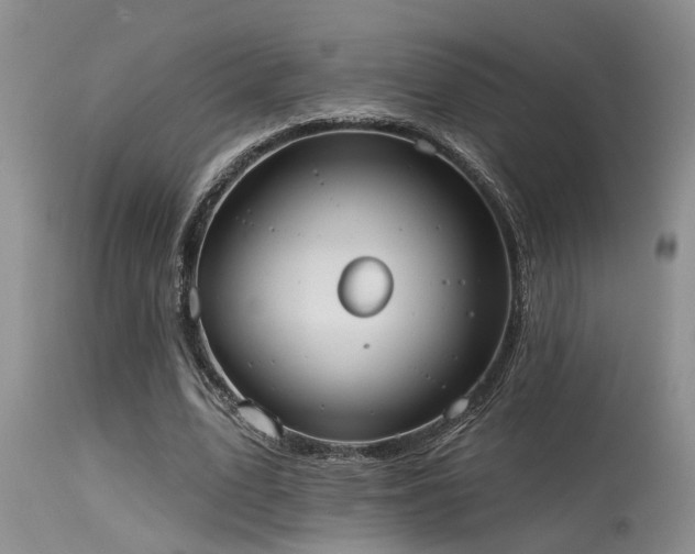 X0000115630583200911101440