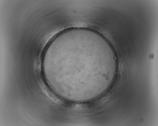 X0000115630584200911101440