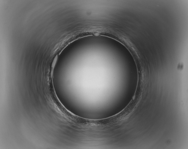 X0000115630585200911101440