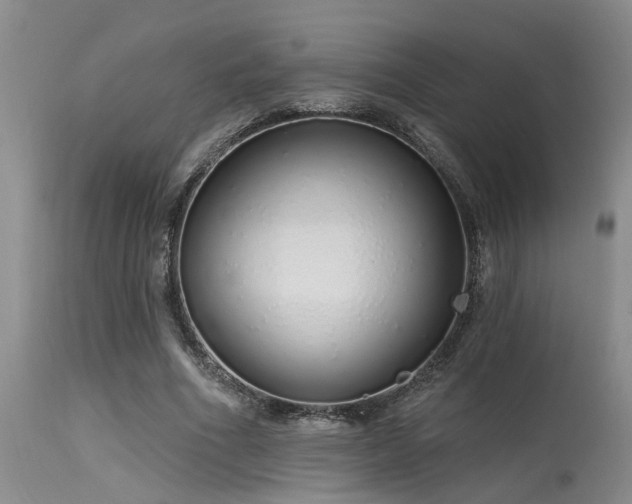 X0000115630586200911101440