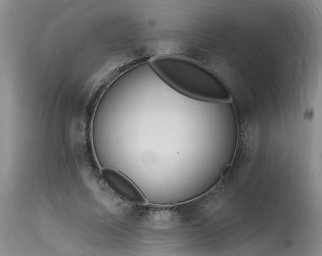 X0000115630587200911101440