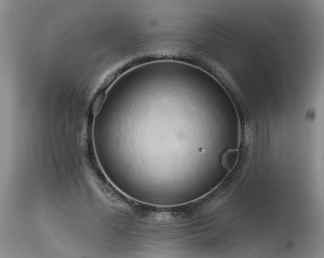 X0000115630588200911101440