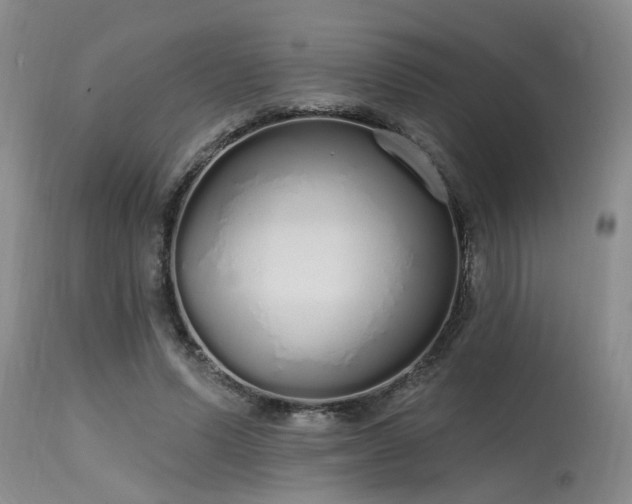 X0000115630591200911101440
