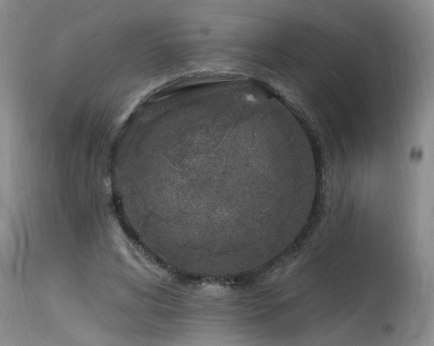 X0000115630592200911101440