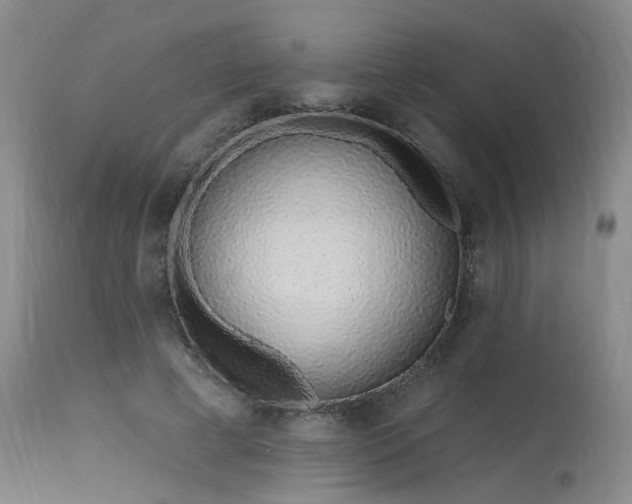 X0000115630593200911101440