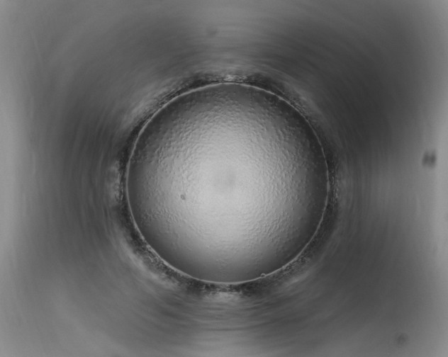 X0000115630594200911101440