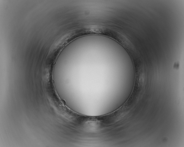 X0000115630595200911101440